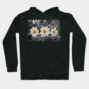 Three Flowers Hoodie